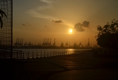 IIP Online Student Photography