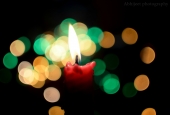 IIP Online Student Photography