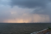 IIP Online Student Photography