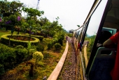 IIP Online Student Photography