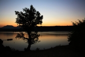 IIP Online Student Photography