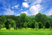 IIP Online Student Photography