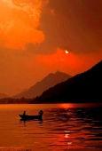 IIP Online Student Photography