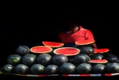 IIP Online Student Photography
