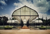 IIP Online Student Photography
