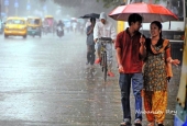 IIP Online Student Photography