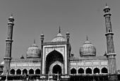 IIP Online Student Photography