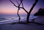 IIP Online Student Photography