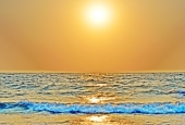 IIP Online Student Photography