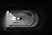 IIP Online Student Photography