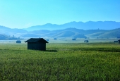 IIP Online Student Photography