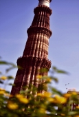 IIP Online Student Photography