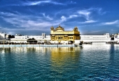 IIP Online Student Photography