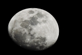 IIP Online Student Photography