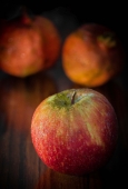 IIP Online Student Photography