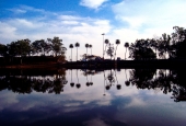 IIP Online Student Photography
