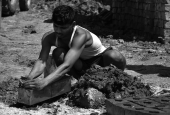 IIP Online Student Photography