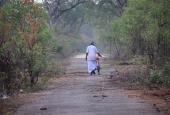 IIP Online Student Photography