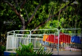 IIP Online Student Photography