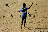 IIP Online Student Photography