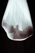 IIP Online Student Photography