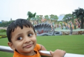 IIP Online Student Photography