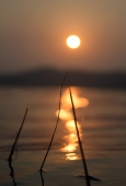 IIP Online Student Photography