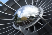 IIP Online Student Photography