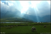 IIP Online Student Photography