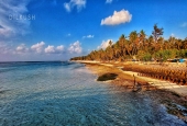 IIP Online Student Photography