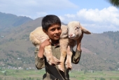 IIP Online Student Photography