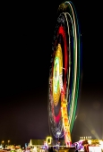 IIP Online Student Photography
