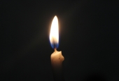 IIP Online Student Photography