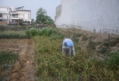IIP Online Student Photography