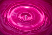 IIP Online Student Photography
