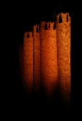 IIP Online Student Photography