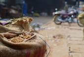 IIP Online Student Photography