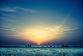 IIP Online Student Photography