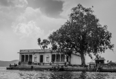 IIP Online Student Photography