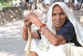 IIP Online Student Photography
