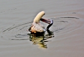 IIP Online Student Photography