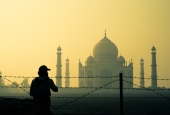 IIP Online Student Photography