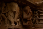 IIP Online Student Photography