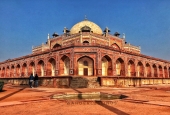 IIP Online Student Photography