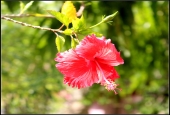 IIP Online Student Photography