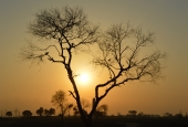 IIP Online Student Photography