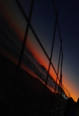 IIP Online Student Photography
