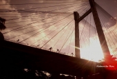 IIP Online Student Photography