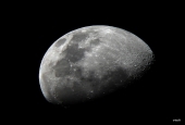 IIP Online Student Photography