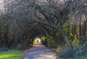 IIP Online Student Photography